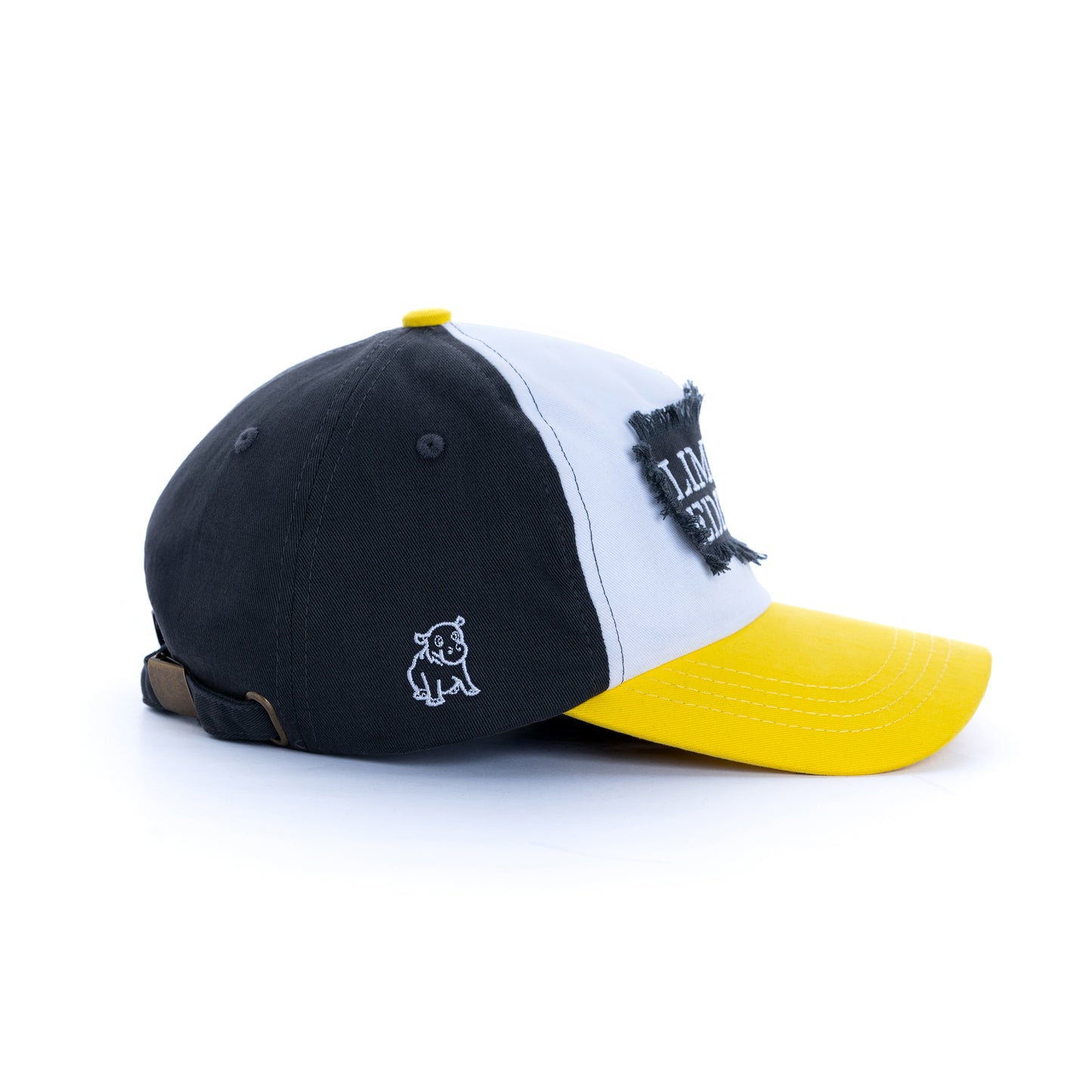 Limited Edition Cap
