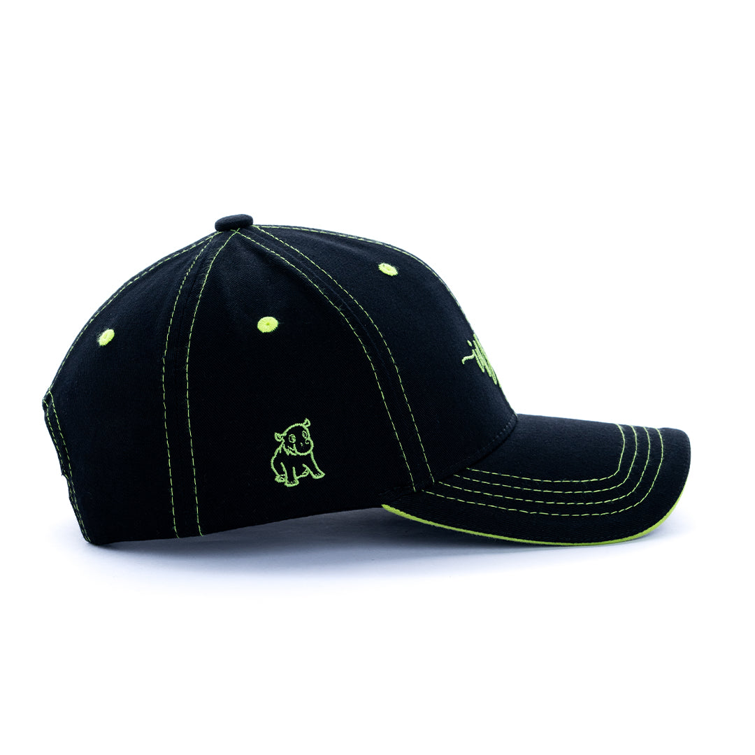 Inspire And Achieve Cap