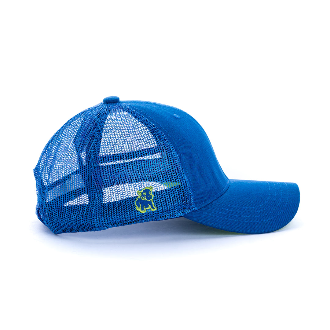 Essential Blue Cap