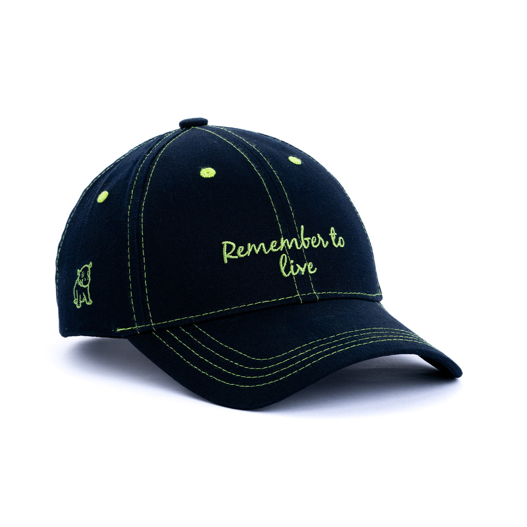 Live Fully Cap