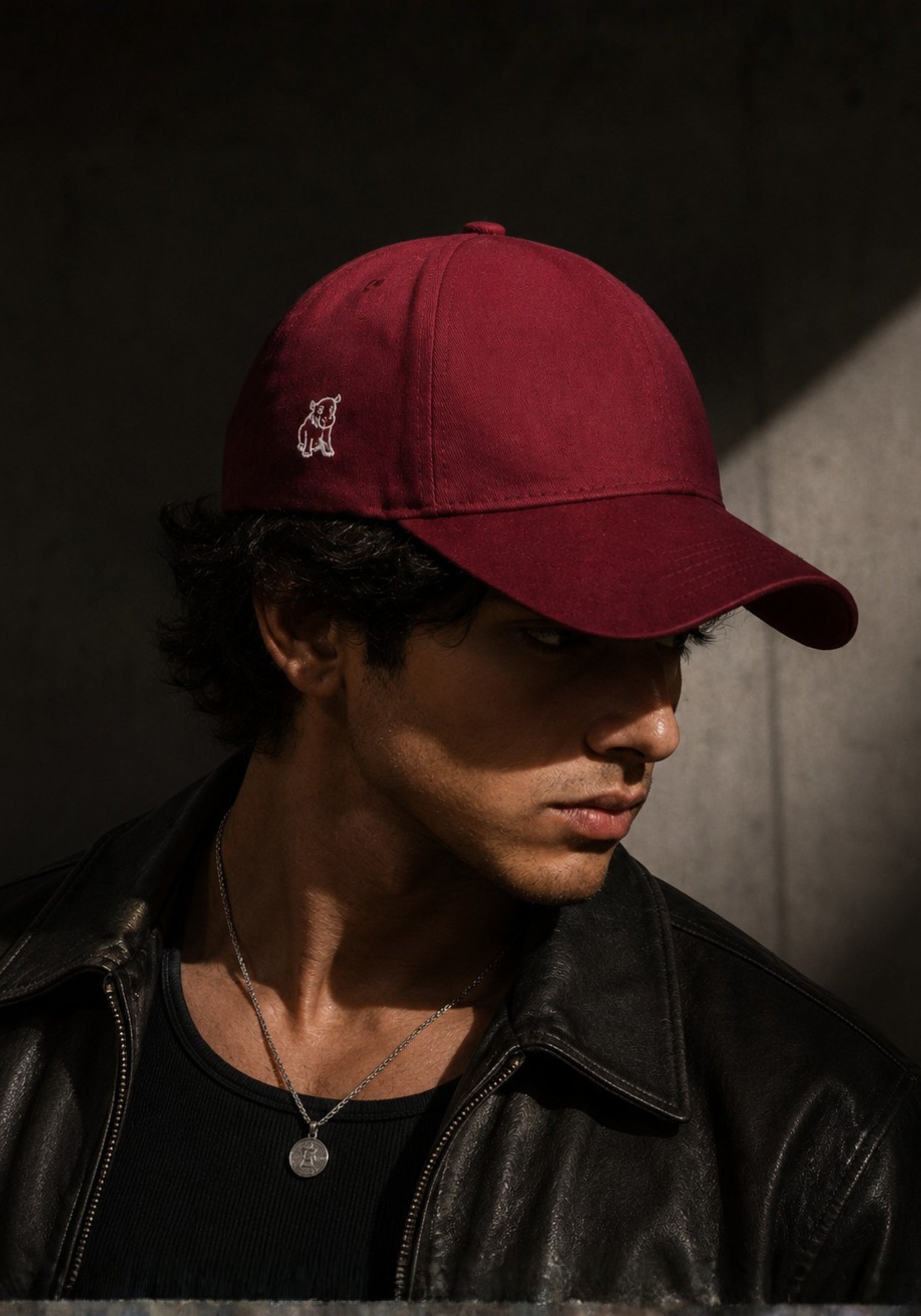 Basic – CAPSHAP
