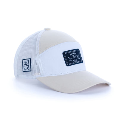 ESTD Capshap