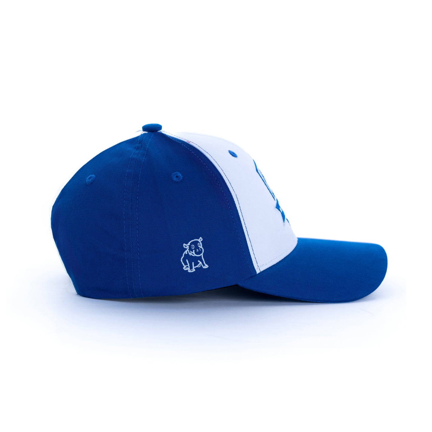 F-Ball Cap