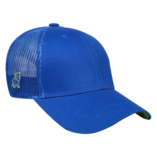 Essential Blue Cap