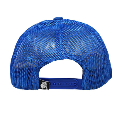 Essential Blue Cap