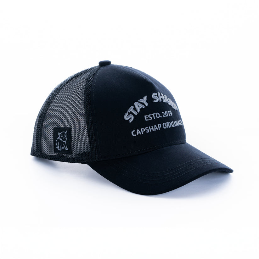 Stay Sharp – CAPSHAP