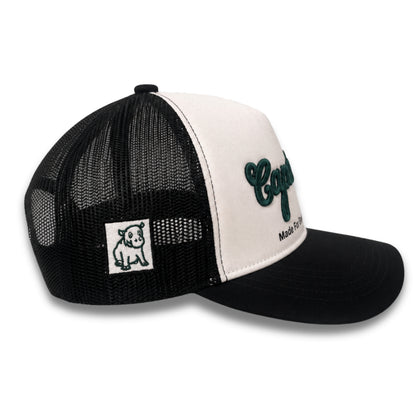 CapShap Co. Cap