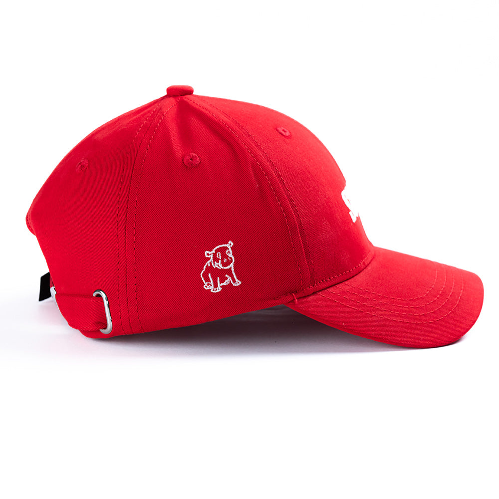 Society Cap