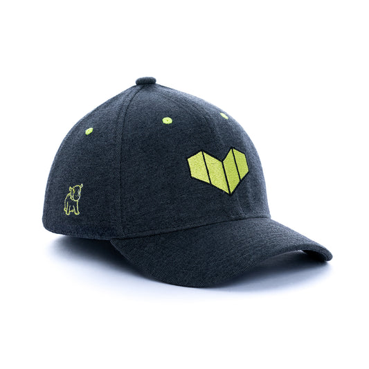 Fitted Cap – CAPSHAP