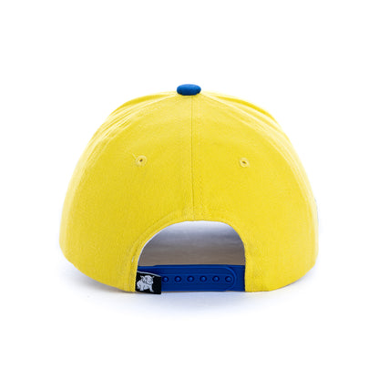 Beautiful cap