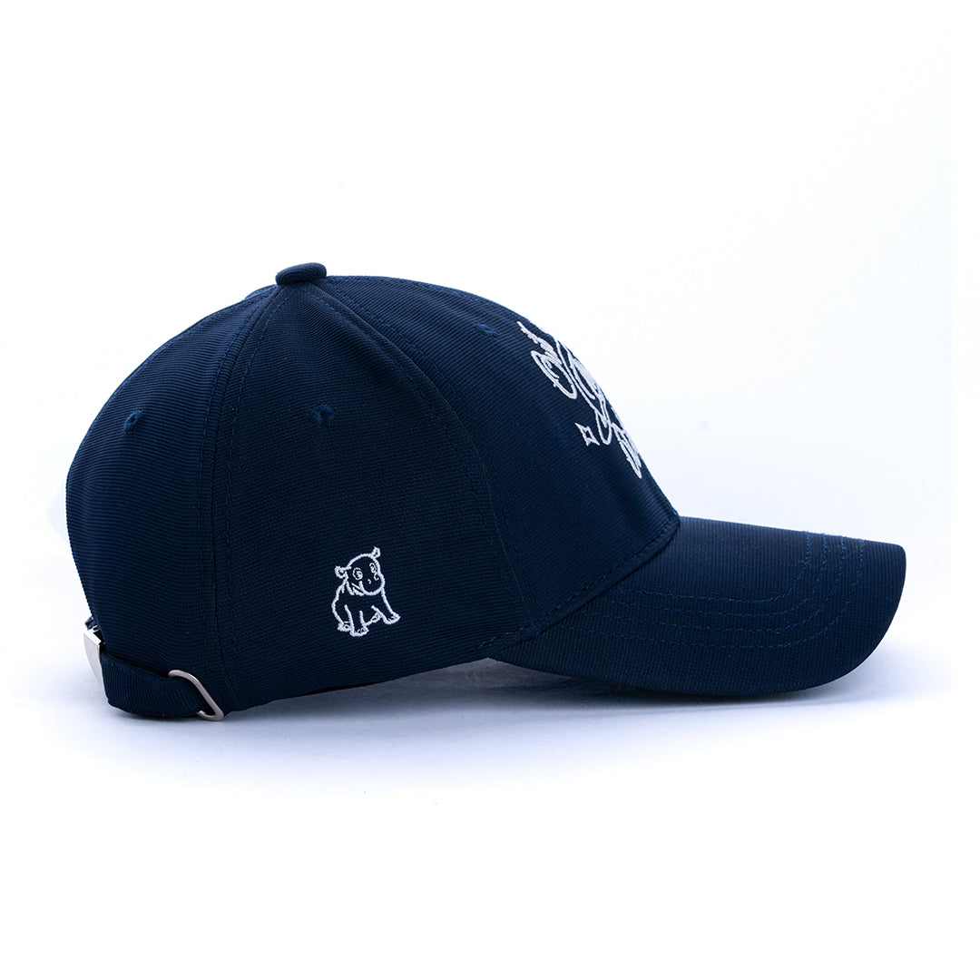 Cosmic dreams cap