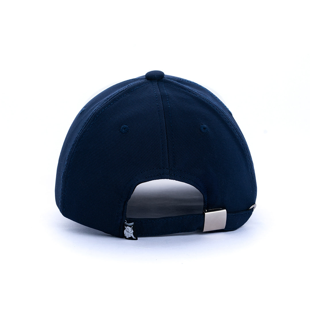 Cosmic dreams cap