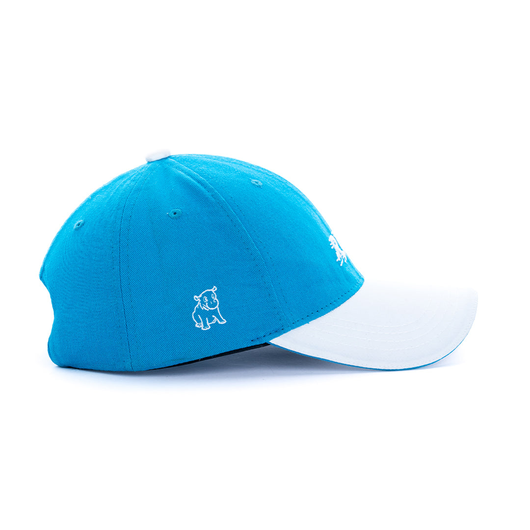 RunWave Cap